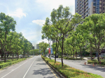 法拍屋,法拍,台北市法拍屋,臺北市法拍屋,新北市法拍屋,基隆市法拍屋,宜蘭市法拍屋,苗栗市法拍屋,苗栗縣法拍屋,彰化縣法拍屋,南投縣法拍屋,雲林縣法拍屋,台中縣法拍屋,桃園市法拍屋,新竹市法拍屋,台中市法拍屋,高雄市法拍屋,花蓮市法拍屋,嘉義市法拍屋,拍賣屋,銀拍屋,金拍屋,貸款,銀行貸款,-